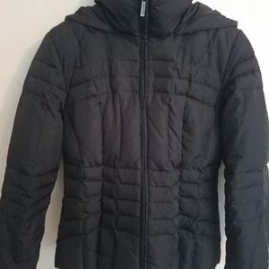Calvin Klein Puffer Jacket w/ Hood